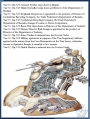 Thumbnail for version as of 17:05, 29 March 2016