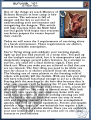 Thumbnail for version as of 21:51, 27 February 2016