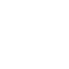 The Insignia of Techno Union